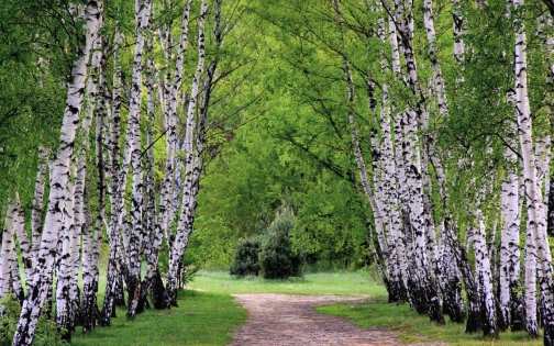 Зелено училище в Ардино