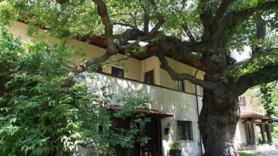 Еднодневна екскурзия - Царския дворец в Кричим