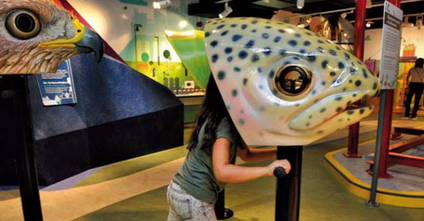 Еднодневна екскурзия - Музейко София