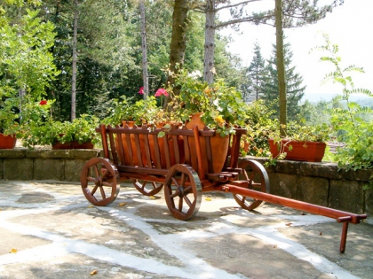 Приключенски лагер Незабравка