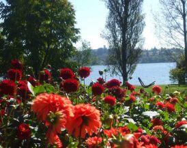 Бодензее - Баварски замъци - Залцбург - Мюнхен