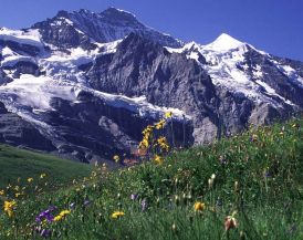 Юнгфрау и Матерхорн - най - атрактивните върхове на Швейцария