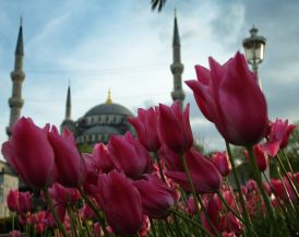 Фестивал на лалетата - Истанбул, 3 нощувки от Варна и Бургас