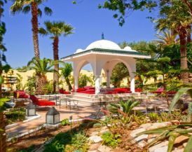 SIMBA CLUB - Samira Club Standard